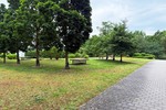 Großzügige 5-Zimmer-Wohnung mit zwei Balkonen, Aufzug und Tiefgarage in begehrter Lage am Rebstockpark - Etagenwohnung Frankfurt am Main Bockenheim | Angebot:26844880